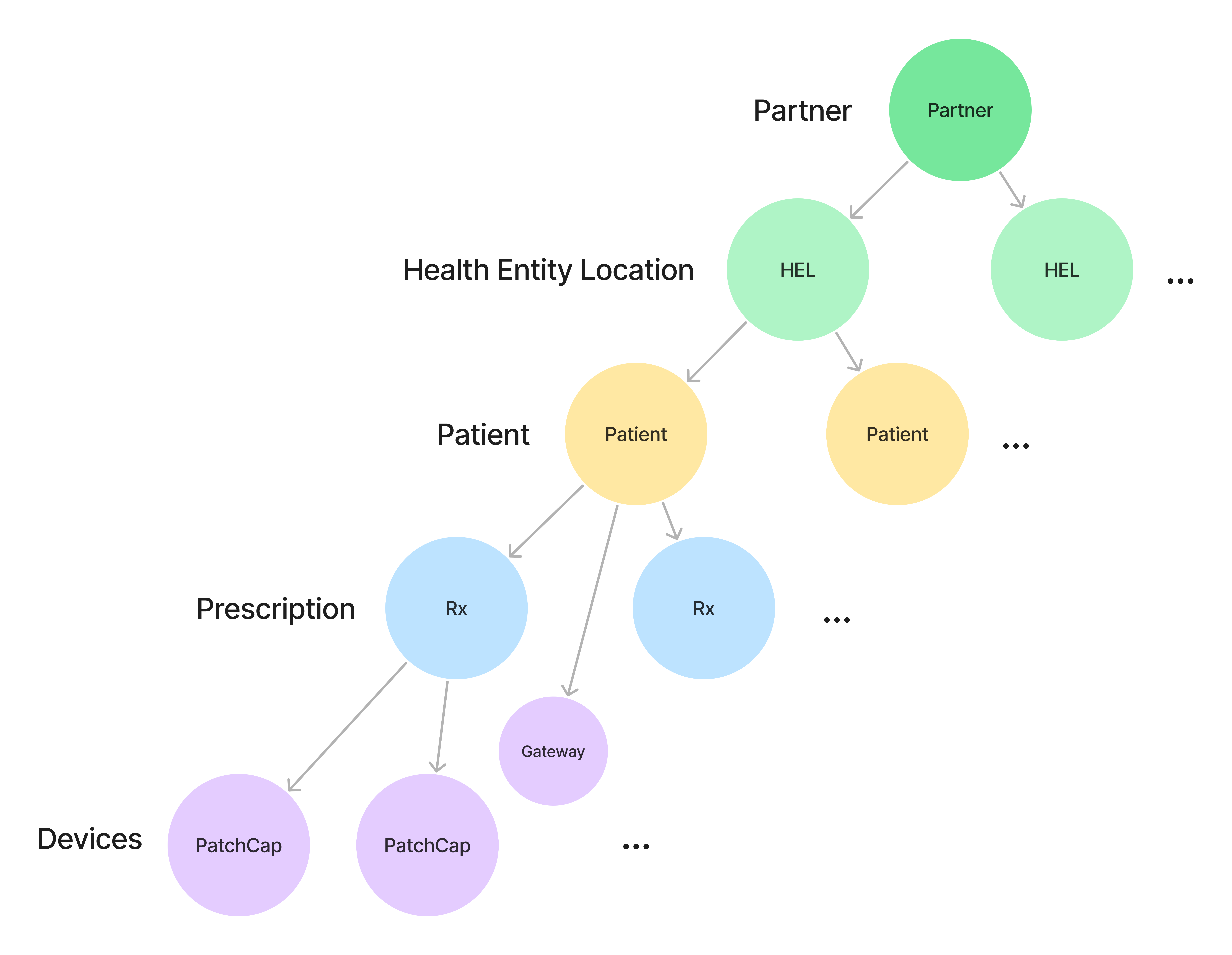 PatchRx Full Data Model